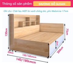 Giường Kết Hợp Giá Sách Hiện Đại Sloan