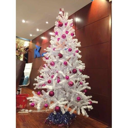 Cây Thông Đầu Tròn Màu Trắng - Đủ Kích Thước