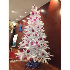 Cây Thông Đầu Tròn Màu Trắng - Đủ Kích Thước