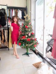 Cây Thông Đầu Tròn Cao 150 cm