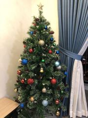 Cây Thông 3 Loại Lá Gắn Trái Thông, Dày Lá - Đủ Kích Thước