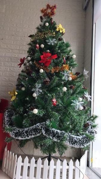 Cây Thông 3 Loại Lá Gắn Trái Thông, Dày Lá - Đủ Kích Thước