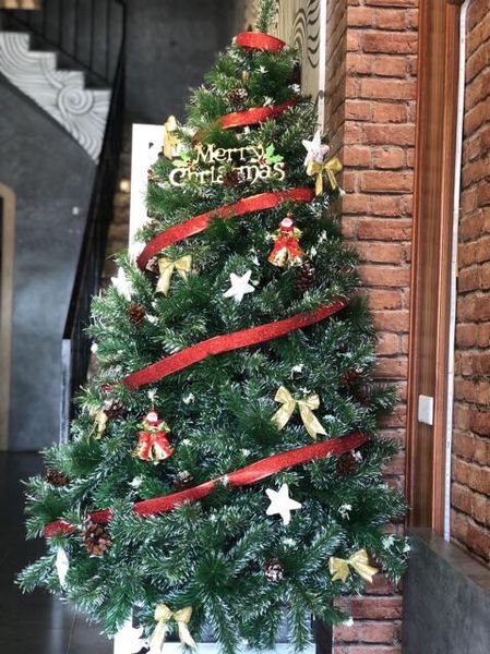 Cây Thông 3 Loại Lá Gắn Trái Thông, Dày Lá - Đủ Kích Thước