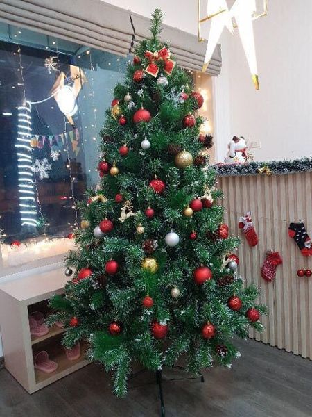 Cây Thông 3 Loại Lá Gắn Trái Thông, Dày Lá - Đủ Kích Thước