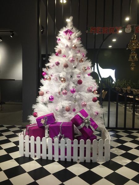 Cây Thông Đầu Tròn Màu Trắng - Đủ Kích Thước