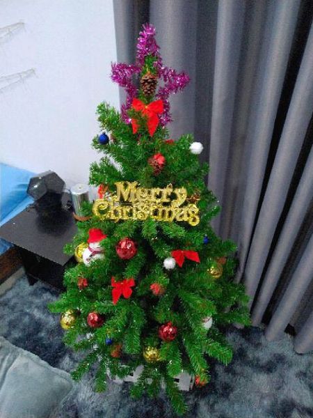 Cây Thông Thường Đầu Tròn - Đủ Kích Thước