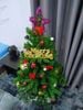 Cây Thông Noel (Cao 1m8)