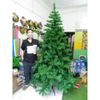 Cây Thông Noel (Cao 1m8)
