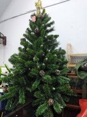 Cây Thông 3 Loại Lá Gắn Trái Thông, Dày Lá - Đủ Kích Thước