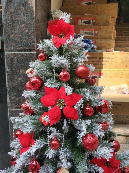 Cây Thông Phủ Tuyết A4 Cao Cấp (Đủ Kích Thước)