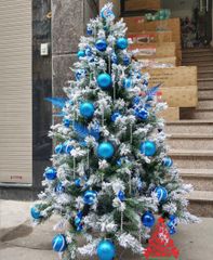 Cây Thông Phủ Tuyết A4 Cao Cấp (Đủ Kích Thước)