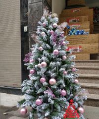 Cây Thông Phủ Tuyết A4 Cao Cấp (Đủ Kích Thước)