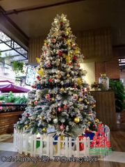 Cây Thông Phủ Tuyết A4 Cao Cấp (Đủ Kích Thước)