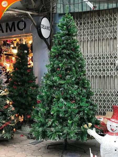 Cây Thông 3 Loại Lá Gắn Trái Thông, Dày Lá - Đủ Kích Thước