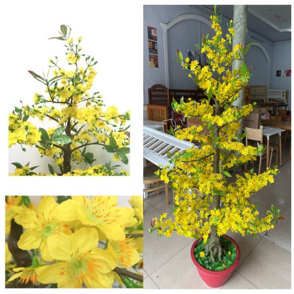 Chậu Hoa Mai Giả Cao 1m75 Trang Trí Tết