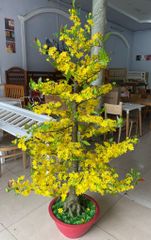 Chậu Hoa Mai Giả Cao 1m75 Trang Trí Tết