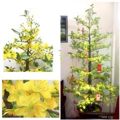 Chậu Mai Tết Giả Nhiều Bông Cao 165cm