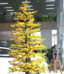 Chậu Hoa Mai Giả 3m Trang Trí Tết