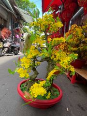 Chậu Mai Bonsai Giả Cao 95cm - 2 Thân