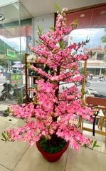 Chậu Hoa Đào Giả Cao 1m75 Trang Trí Tết