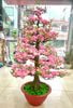 Cây Hoa Đào Bonsai Giả Cao 1m45 Trang Trí Tết