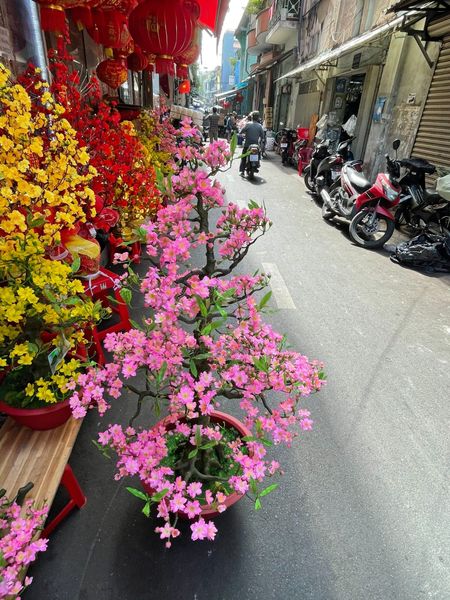 Chậu Hoa Đào Bonsai Giả Cao 1m15 Trang Trí Tết