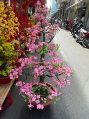 Chậu Hoa Đào Bonsai Giả Cao 1m15 Trang Trí Tết