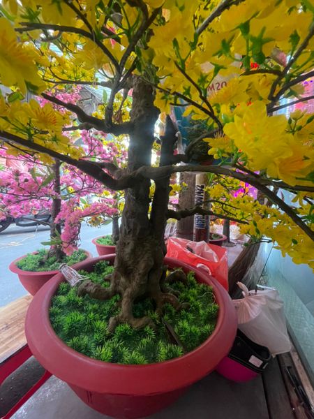 Chậu Hoa Mai Giả Cao 2m Trang Trí Tết