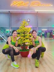 Chậu Hoa Mai Bonsai Giả Cao 1m45 Trang Trí Tết