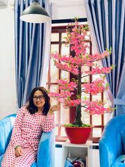 Chậu Hoa Đào Giả Cao 1m45 Trang Trí Tết