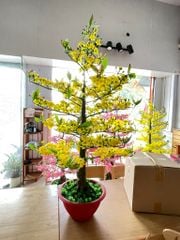 Chậu Hoa Mai Giả Cao 1m45 Trang Trí Tết