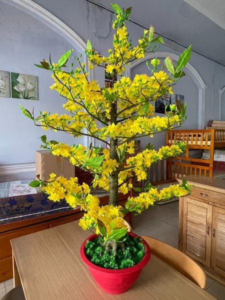 Chậu Hoa Mai Giả Cao 1m45 Trang Trí Tết