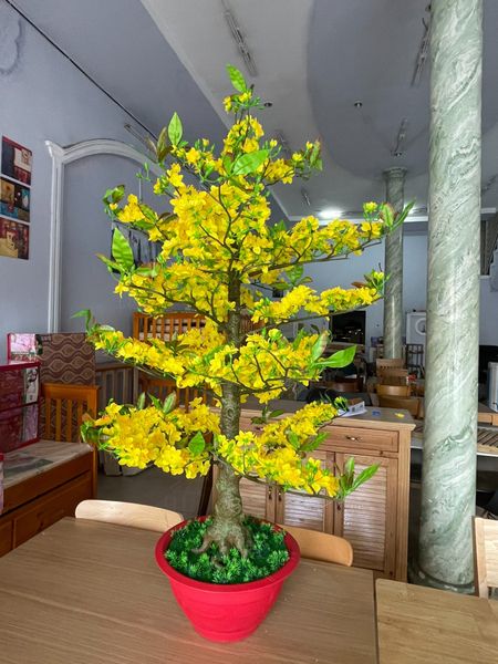 Chậu Hoa Mai Giả Cao 1m45 Trang Trí Tết