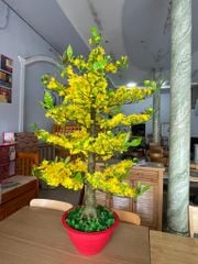 Chậu Hoa Mai Giả Cao 1m45 Trang Trí Tết