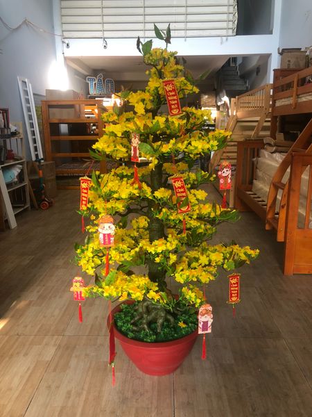 Chậu Mai Bonsai Giả 1m65 Trang Trí Tết