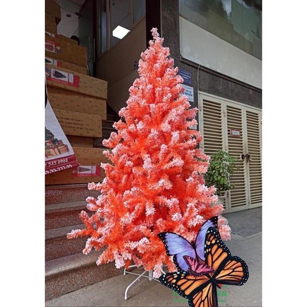 Cây Thông Đầu Tròn Màu Hồng Cam Phủ Tuyết - Cây Tư Động