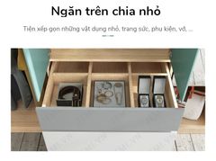 Tủ Quần Áo Có Gương Soi TQA-G01