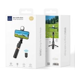 Gậy chụp hình WIWU Wi-SE011 Fill Light Tripod mini selfie stick - đèn 3 cấp độ