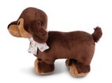  Thú nhồi bông 27cm-chó lạp xưởng dachshund Skida Winter GREEN-Nici Germany-49317 