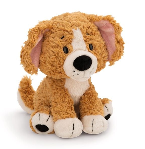  Thú nhồi bông 35cm 62154 |Dog sitting chó vàng ngồi|NICI Germany 