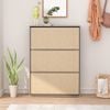 Tủ Giày Thông Minh Tiết Kiệm Không Gian - GP20 - Nội Thất IGA Việt Nam