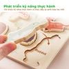 Bảng Đồ Chơi Giáo Dục Nhận Biết Động Vật Cho Trẻ Chất Lượng Cao Cấp IGEA - TOY05