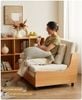 Giường Kéo Sofa - GM200