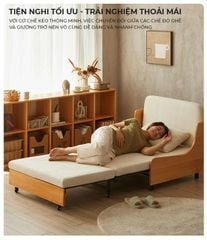Giường Kéo Sofa - GM200