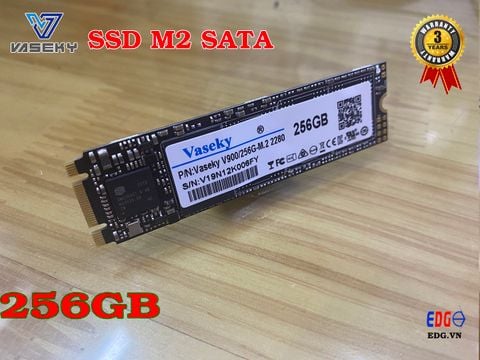 Ổ cứng SSD 256GB M2 2280 VASEKY V900