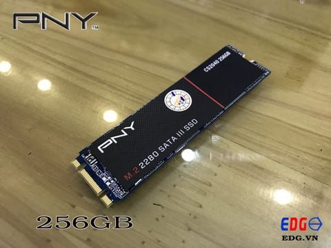 Ổ cứng SSD 256GB M2 2280 PNY CS2040