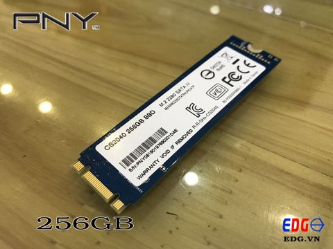 Ổ cứng SSD 256GB M2 2280 PNY CS2040