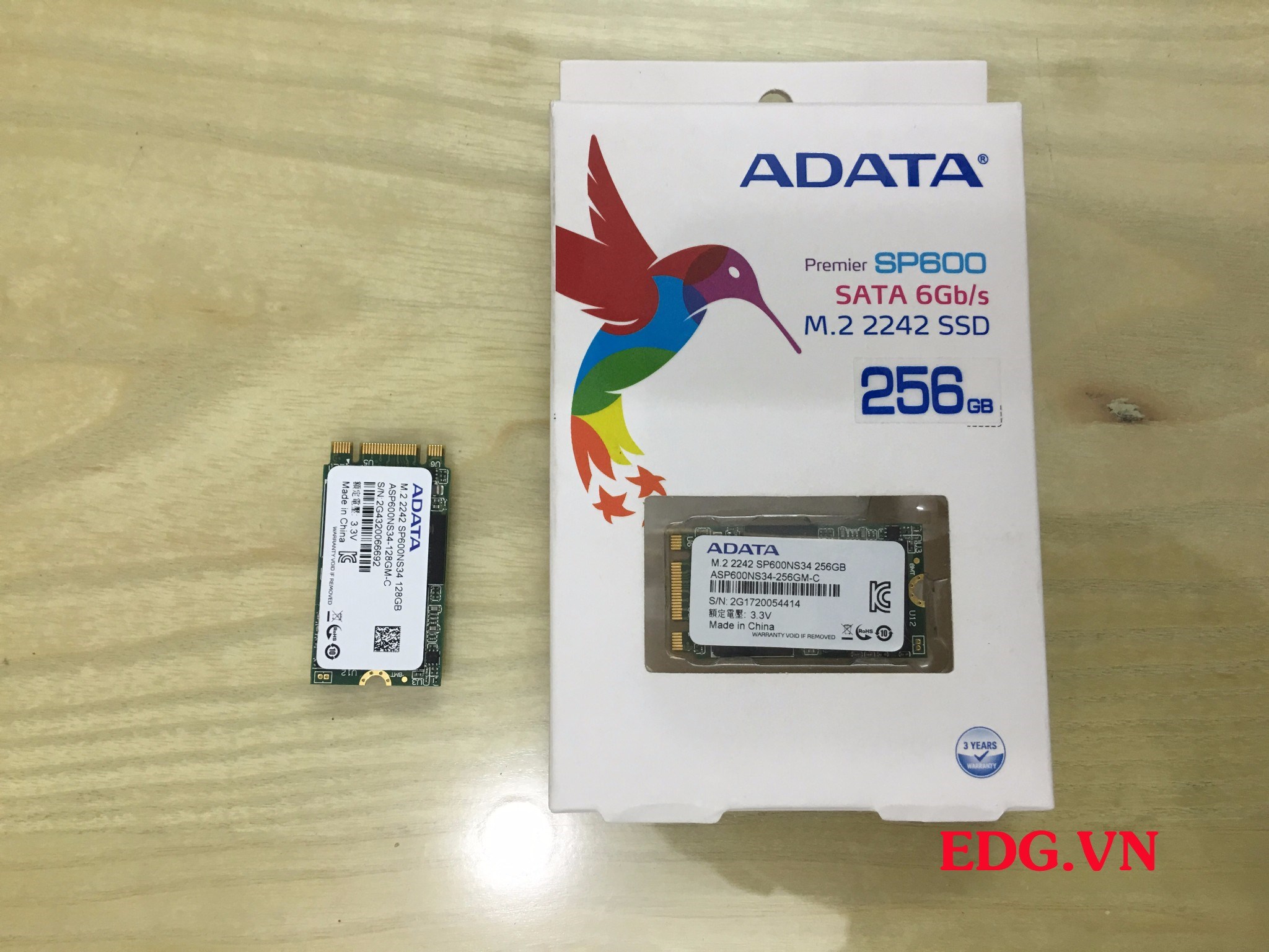 Ổ cứng M.2 256GB chuẩn 42mm – EDG.VN