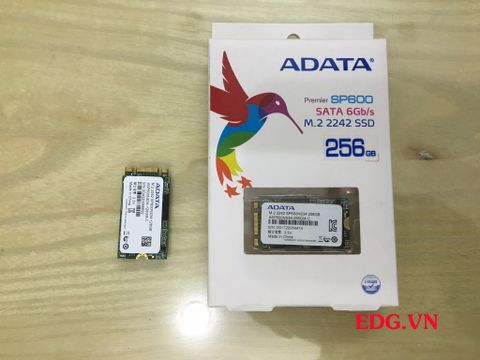 SSD M.2 2242 ADATA 256GB