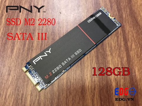 Ổ cứng SSD 128GB M2 2280 PNY CS2040